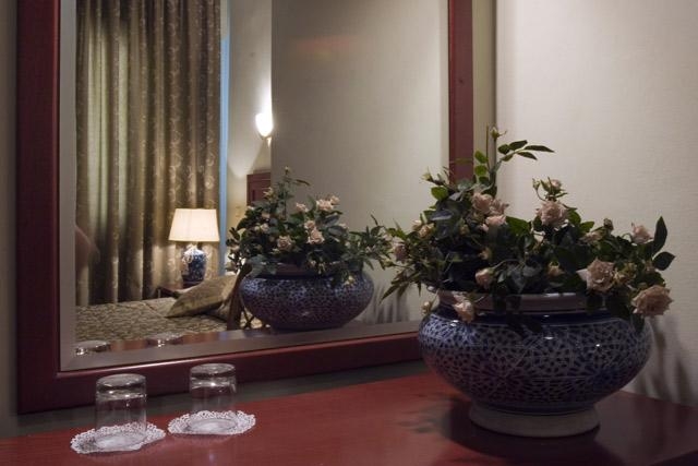 Hotel Ilion 