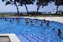 Hotel LAS PALMERAS CAMPING