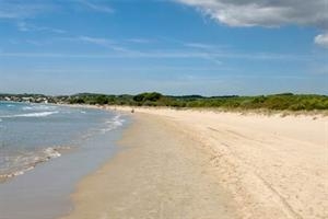 Hotel LAS PALMERAS CAMPING