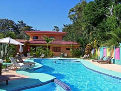 Hotel La Palmera