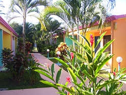 Hotel La Palmera