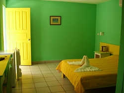 Hotel La Palmera