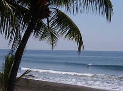 Hotel La Palmera