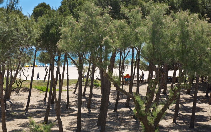 Hotel La Pineda
