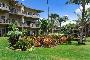 Apartamentos Lae Nani Resort