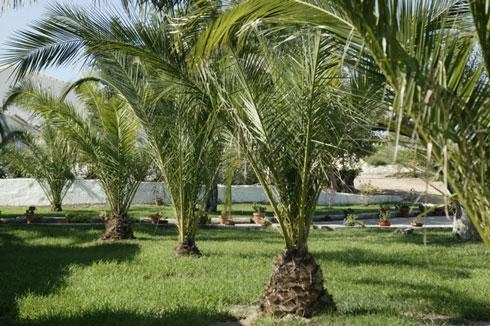 Hotel L´ampolla Resort