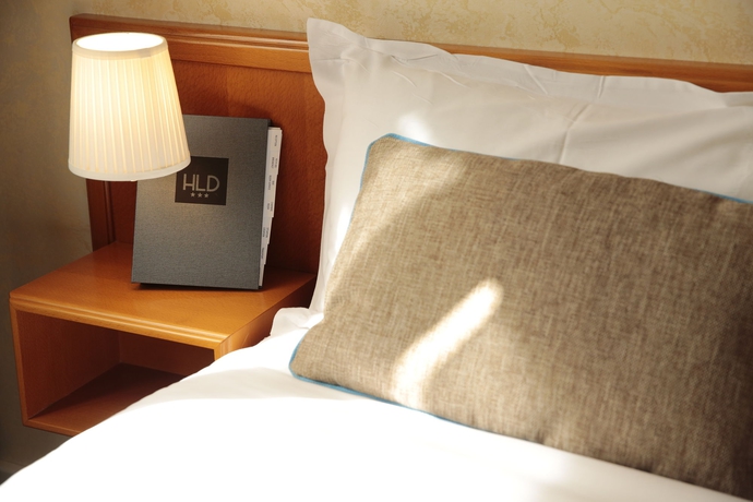 Hotel Le Dauphin
