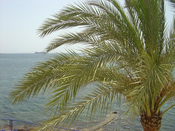 Hotel Llevant