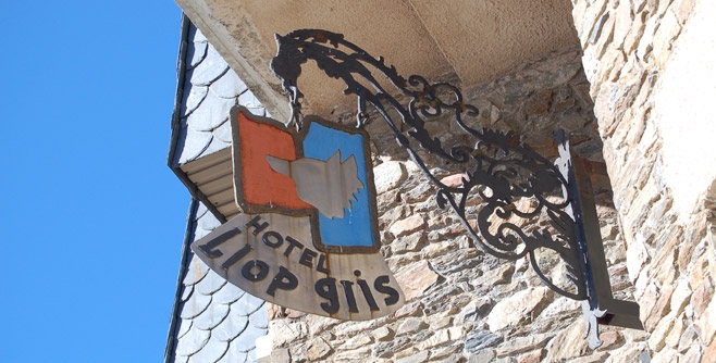 Hotel Llop Gris