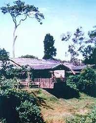 Hotel Mara Safari Club