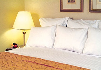 Hotel Marriot Petra