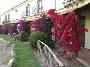 Hotel Medar - Holiday Village Alabirdi