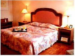 Hotel Millennium Plaza