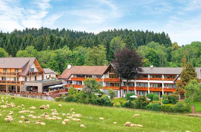 Hotel Minotel Gruener Wald