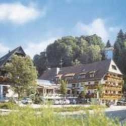 Hotel Minotel Neuer Lowen