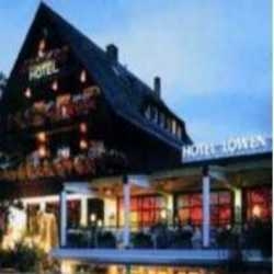 Hotel Minotel Neuer Lowen