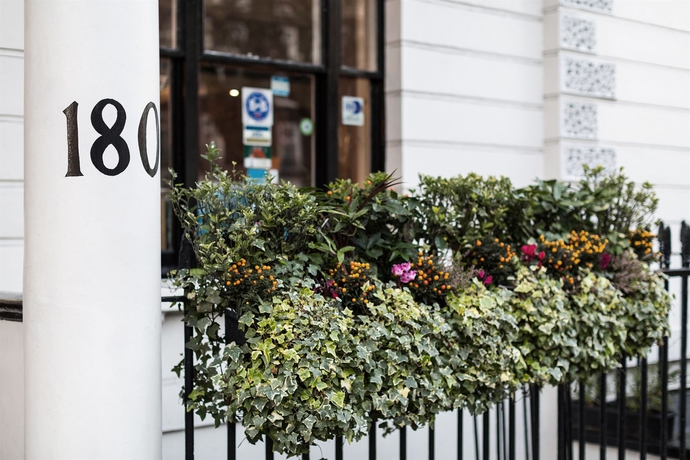 Hotel Mitre House