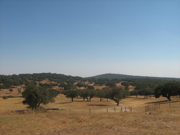 Hotel Monte Dos Apostolos