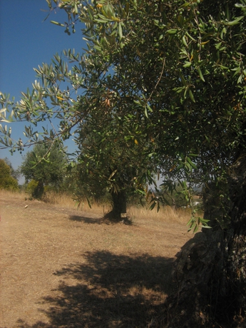 Hotel Monte Dos Apostolos