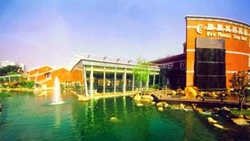 Hotel New Phoenix Town
