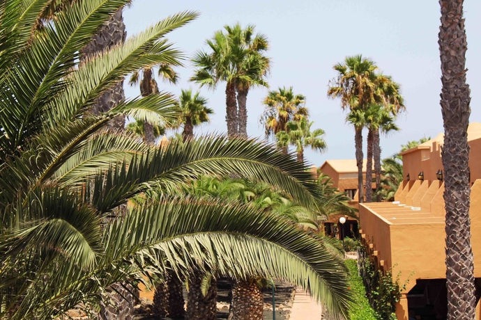 Hotel Oasis Duna