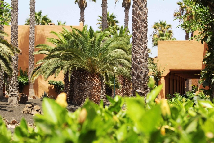 Hotel Oasis Duna