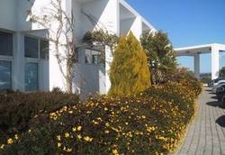 Hotel Palma Monforte