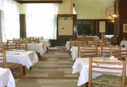 Hotel Paltinis