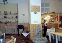 Hotel Paltinis