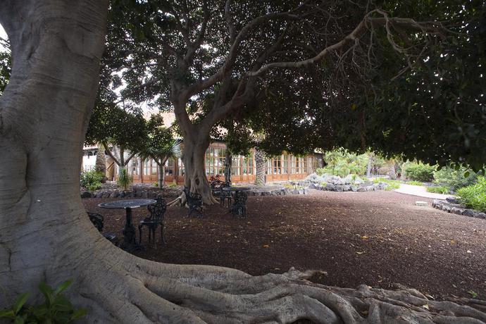 Hotel Parador De La Gomera