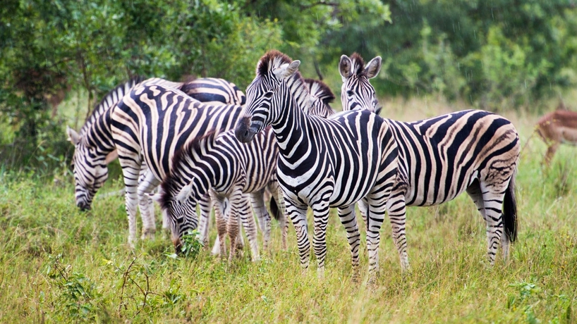 Hotel Pestana Kruger Lodge