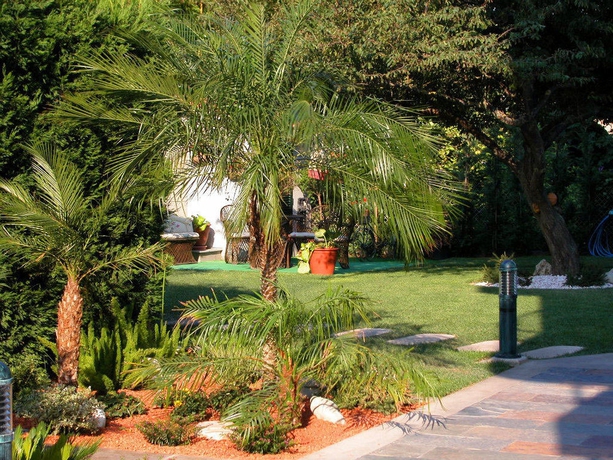 Hotel Piñeiro