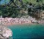 Camping Pola Camping Camping Pola Camping