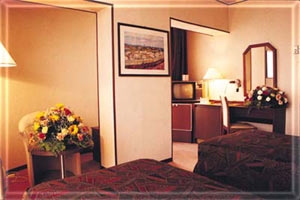 Hotel Pulman Al-shahba