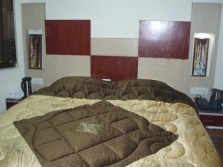 Hotel Raunak Plaza