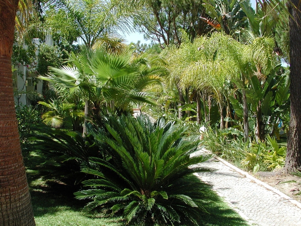 Hotel Ria Park Garden