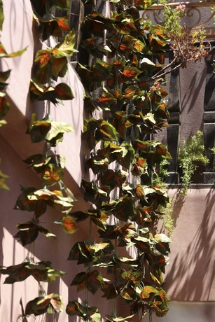 Hotel Riad 1001 Nuits