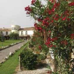 Hotel Ribot - Holiday Village Alabirdi