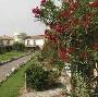 Hotel Ribot - Holiday Village Alabirdi