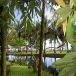 Hotel SEME BEACH