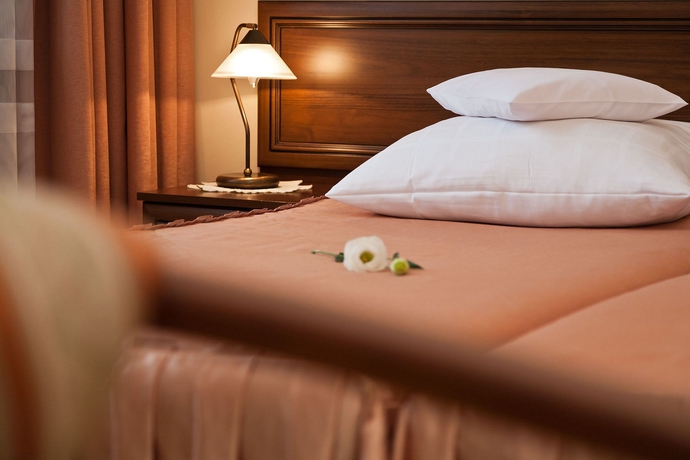 Hotel Saski Hotel