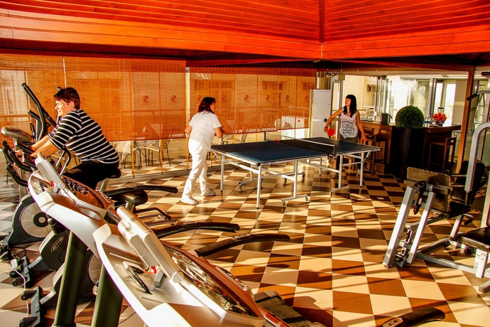 Hotel Savk