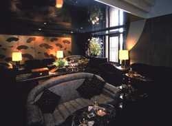 Hotel Seiyo Ginza 