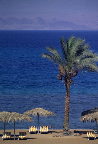 Hotel Sonesta Beach Resort Taba