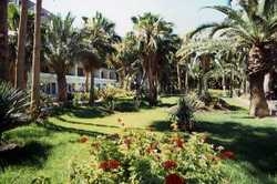 Hotel Stella Jandia  (Ex Dunas Jandia)