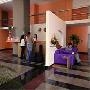 Hotel Suite 