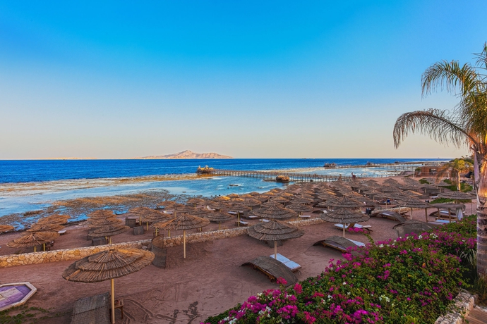 Hotel The Cleopatra Luxury Resort
