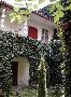 Hotel The Golden Tree