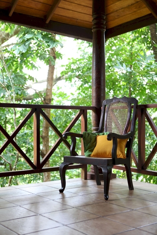 Hotel Tree Of Life