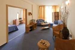 Hotel Tzvete, Flora Park, Rodopi Complex